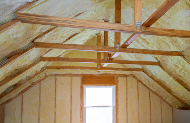 Best Specialized Insulation Services in Clarksville, TN