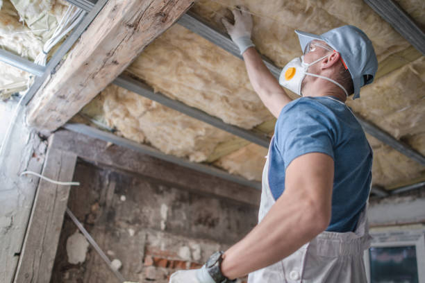 Best Eco-Friendly Insulation in Clarksville, TN